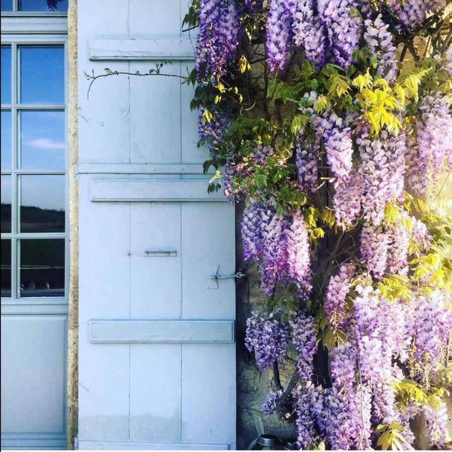 B&B La Commanderie De Lachapelle Lachapelle  外观 照片